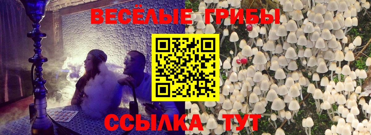 Галлюциногенные грибы Psilocybine cubensis  Псилоцибиновые грибы мухоморы  Вход с VPN  цены   Кимры 